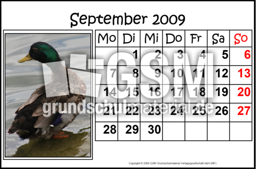 9-September-2009-quer.jpg
